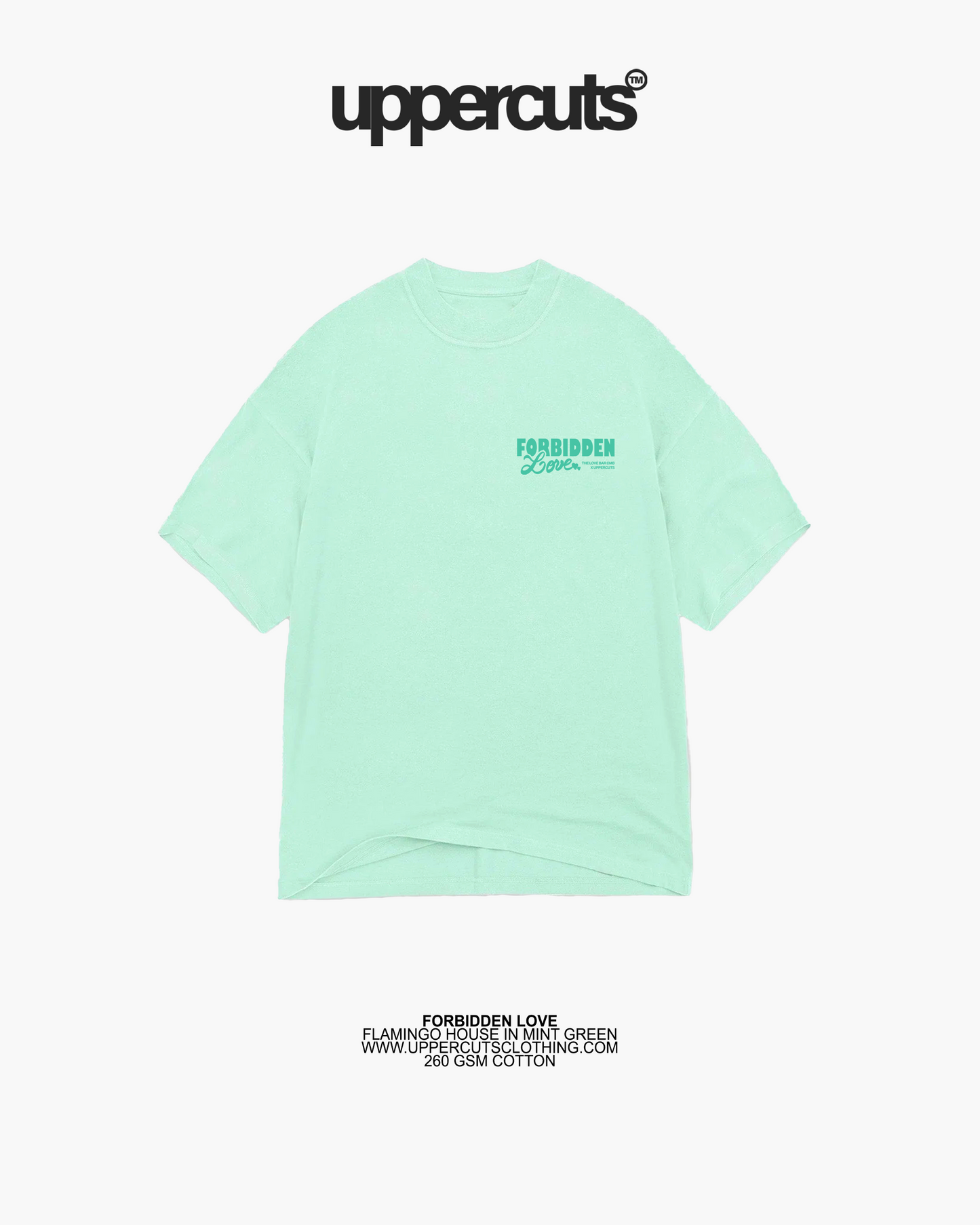 Flamingo House in Mint Green